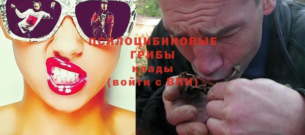 шишки Алзамай