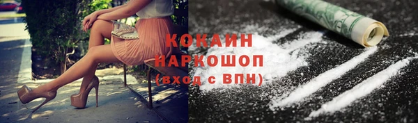 шишки Алзамай